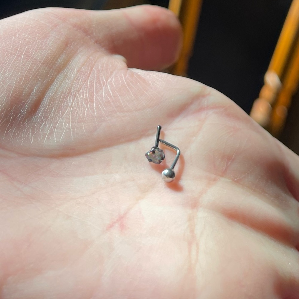 4 Nose Rings - Picture 8 of 12